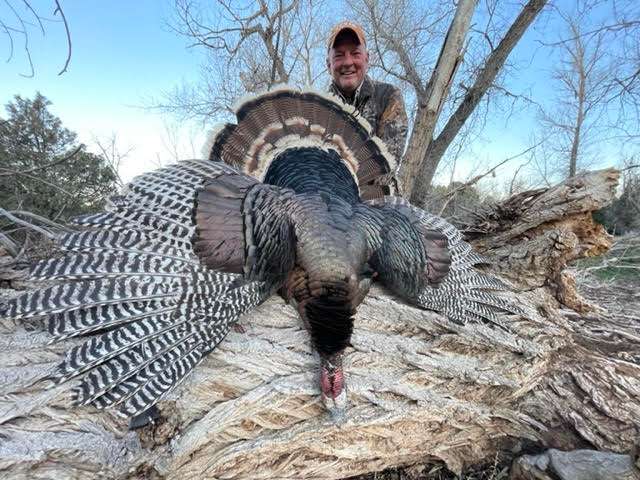 Colorado Turkey Hunts